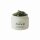Arencia Glow Hyssop Overnight Face Mask Serum